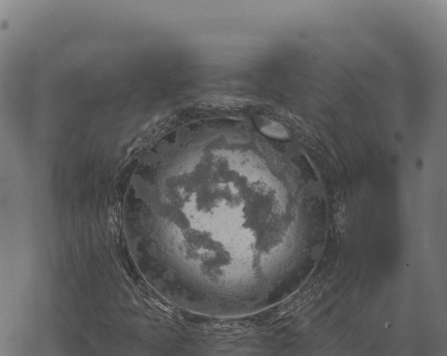 X0000068831397200605121329