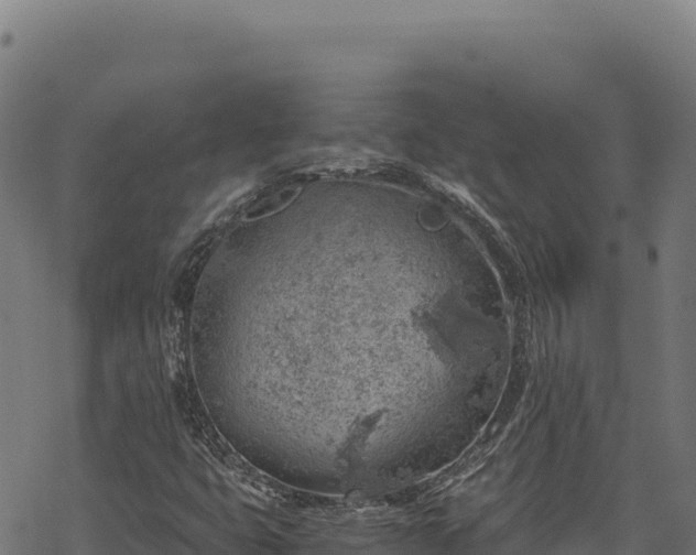 X0000068831399200605121329