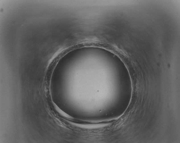 X0000068831400200605121329