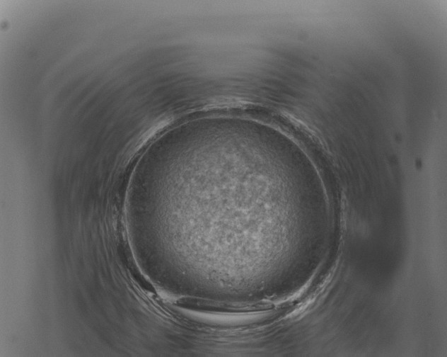 X0000068831401200605121329