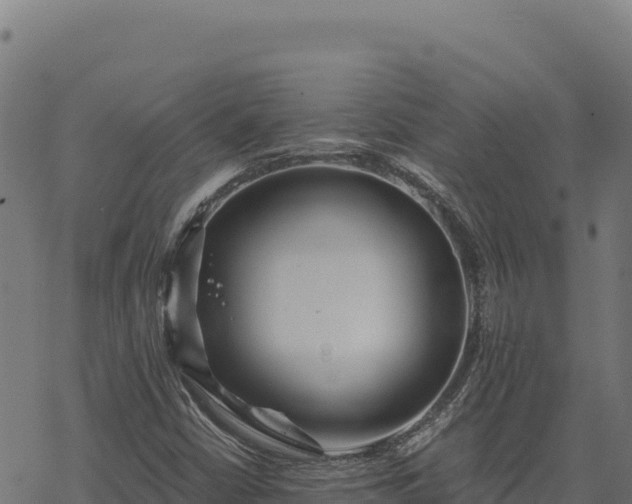 X0000068831402200605121329