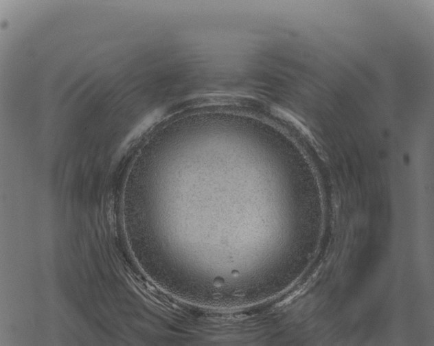 X0000068831403200605121329