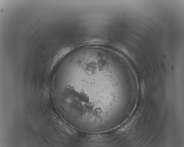 X0000068831405200605121329