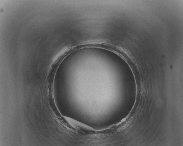 X0000068831406200605121329