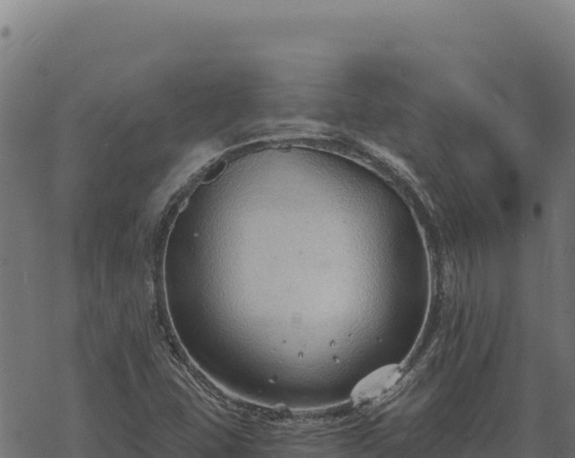 X0000068831407200605121329