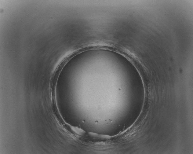 X0000068831408200605121329