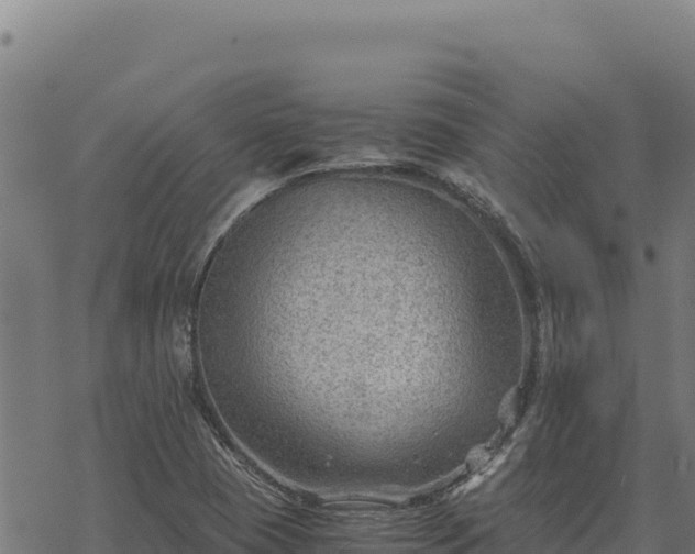 X0000068831409200605121329