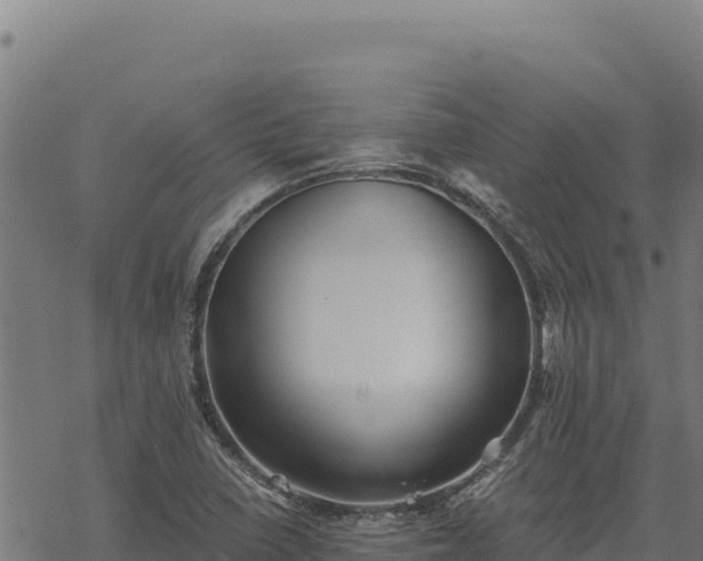 X0000068831410200605121329