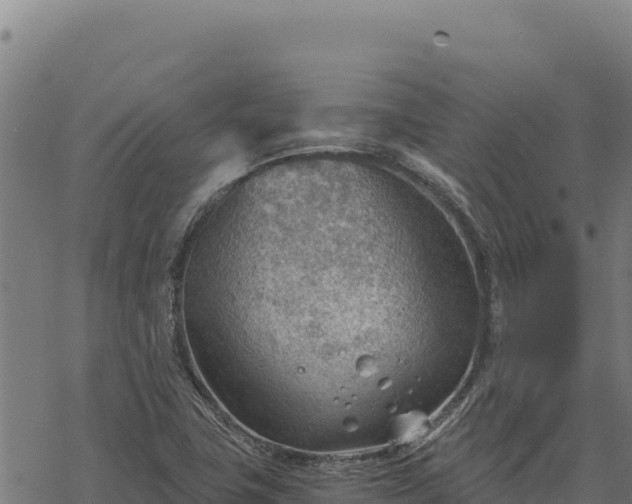 X0000068831411200605121329