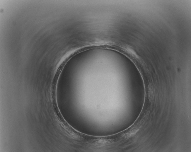 X0000068831412200605121329