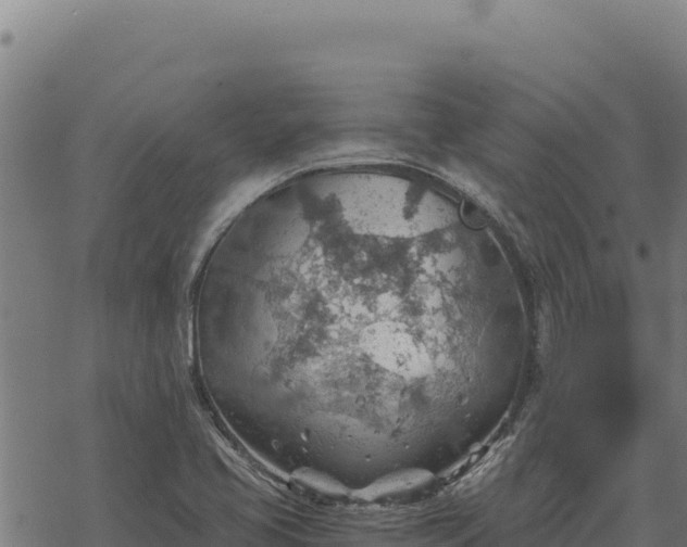 X0000068831413200605121329