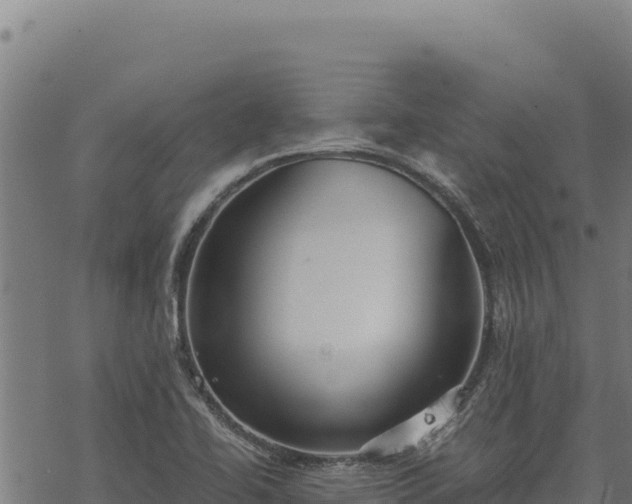 X0000068831414200605121329