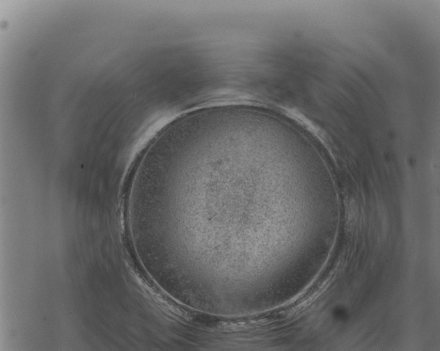 X0000068831415200605121329