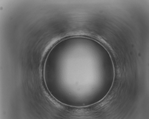 X0000068831416200605121329