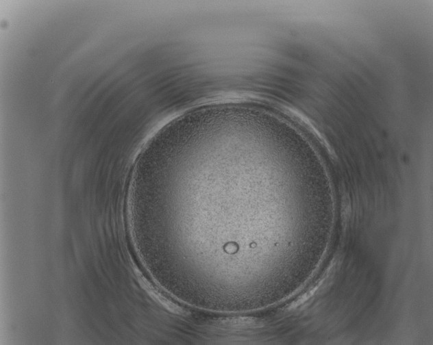 X0000068831417200605121329