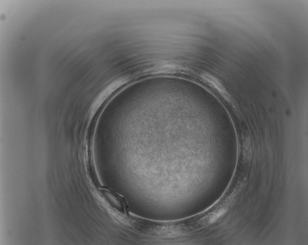 X0000068831418200605121329