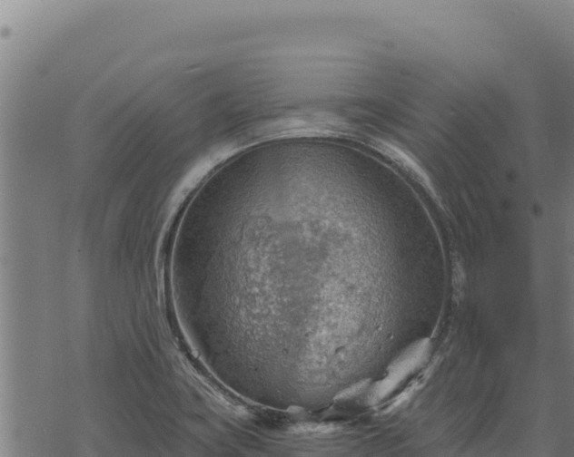 X0000068831419200605121329