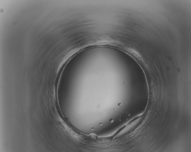 X0000068831420200605121330