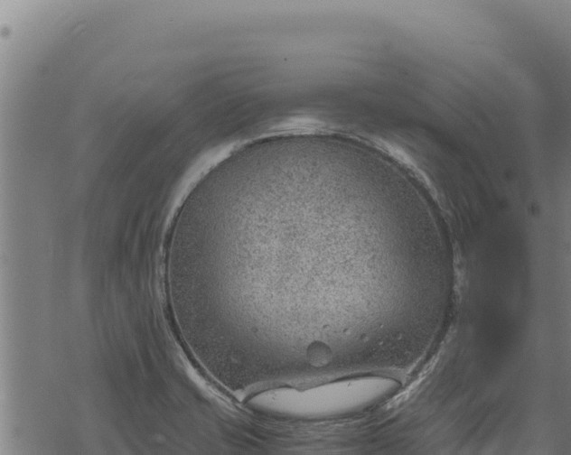 X0000068831421200605121330