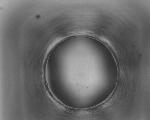 X0000068831424200605121330