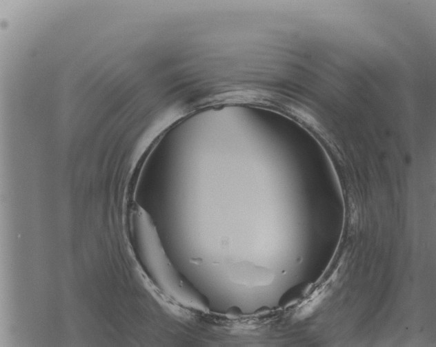 X0000068831426200605121330