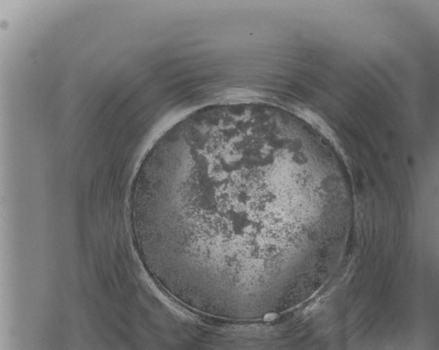 X0000068831429200605121330