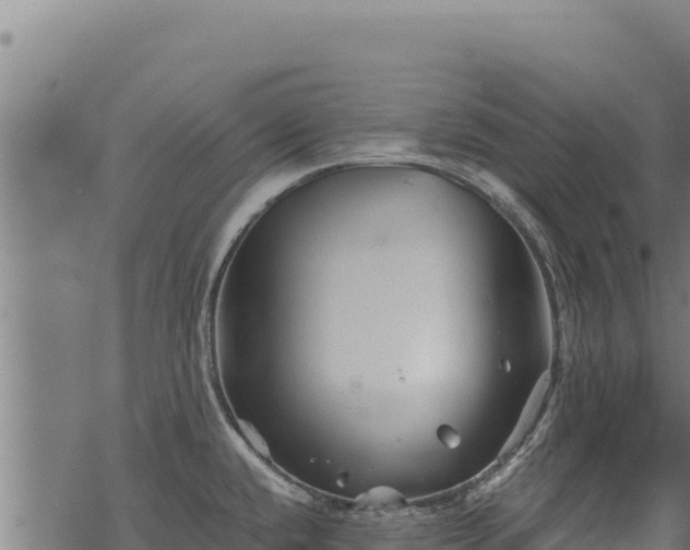 X0000068831432200605121330