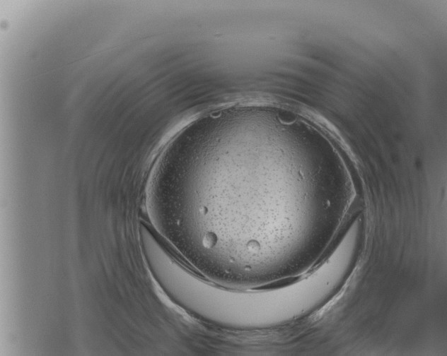 X0000068831433200605121330