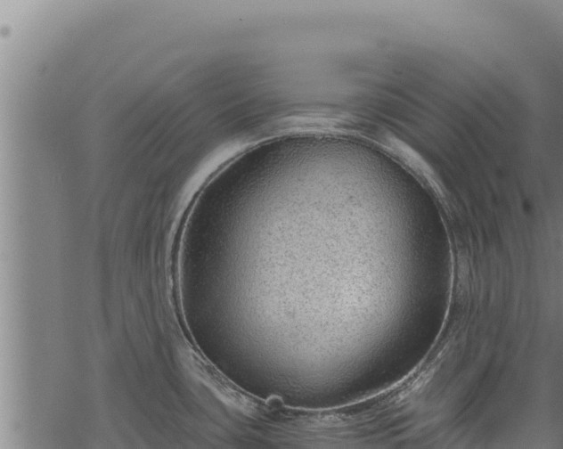 X0000068831435200605121330