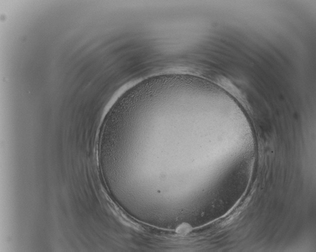 X0000068831436200605121330