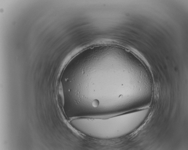 X0000068831437200605121330