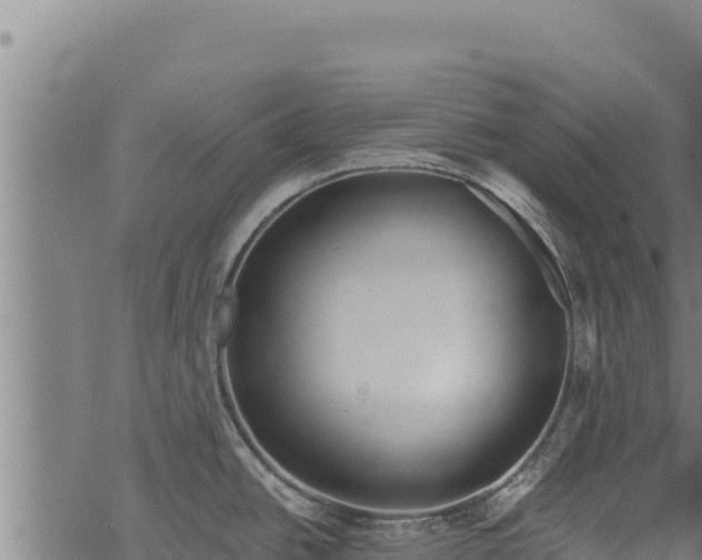 X0000068831438200605121330