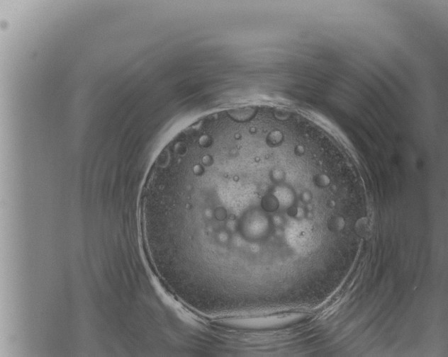 X0000068831439200605121330