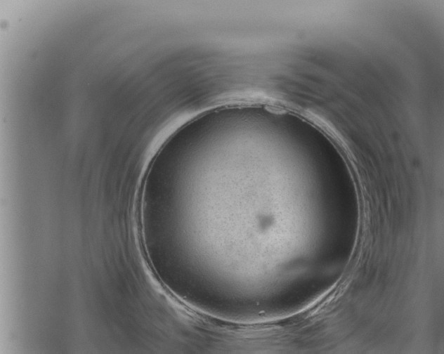 X0000068831440200605121330