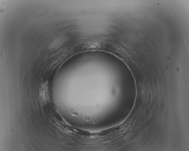 X0000068831442200605121329