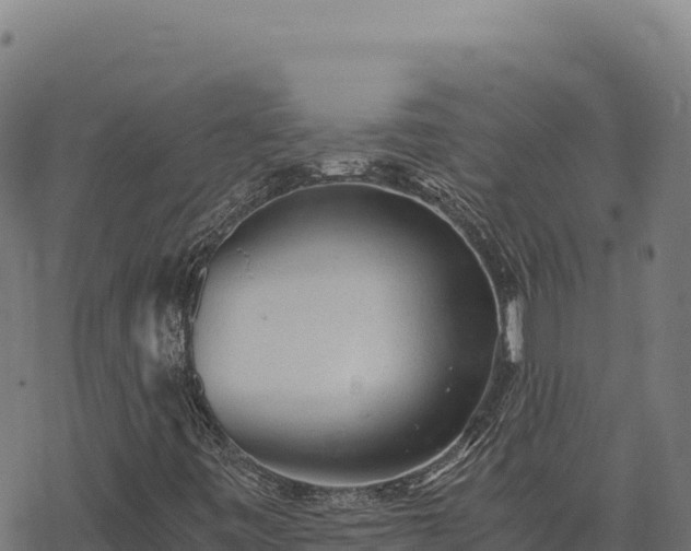 X0000068831443200605121329