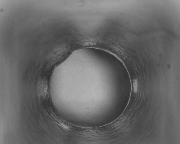 X0000068831444200605121329