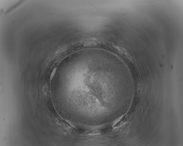 X0000068831445200605121329