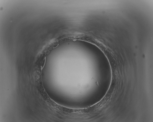 X0000068831447200605121329