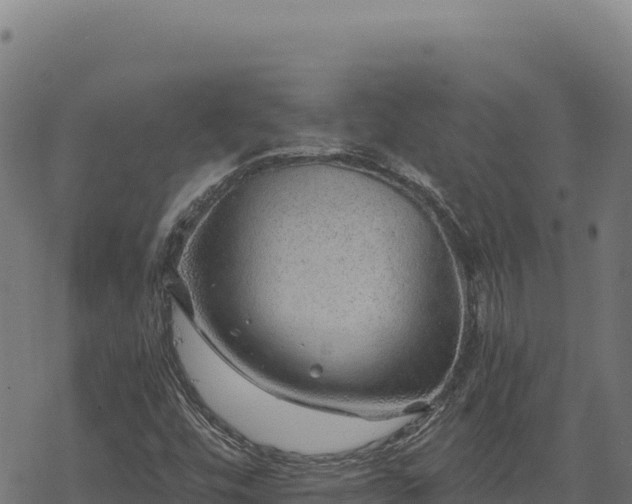 X0000068831448200605121329