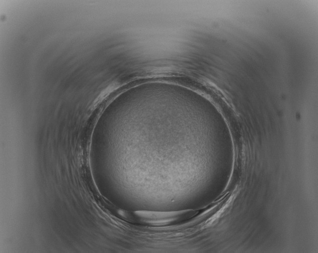 X0000068831449200605121329