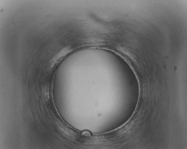 X0000068831451200605121329