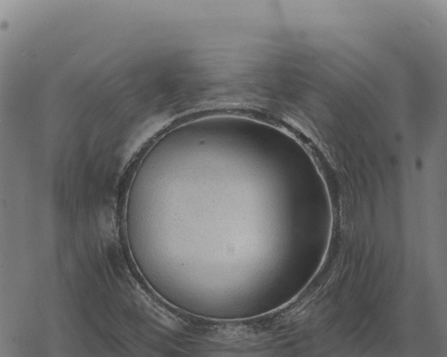 X0000068831452200605121329