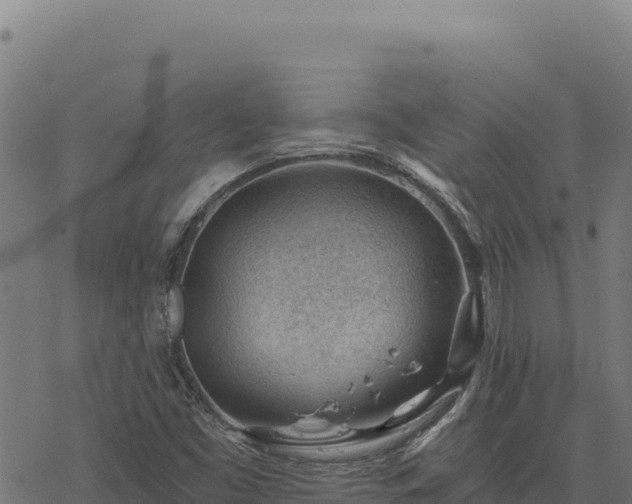 X0000068831453200605121329