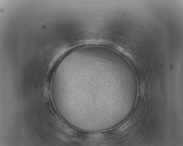 X0000068831454200605121329