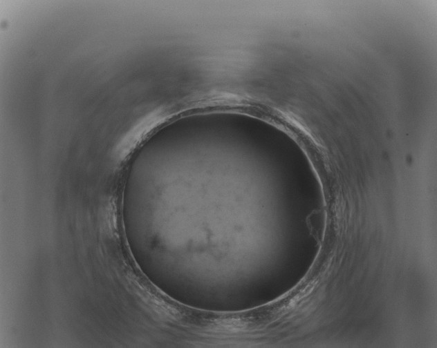 X0000068831455200605121329