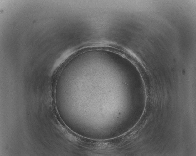 X0000068831456200605121329