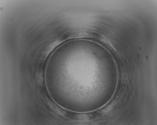 X0000068831457200605121329