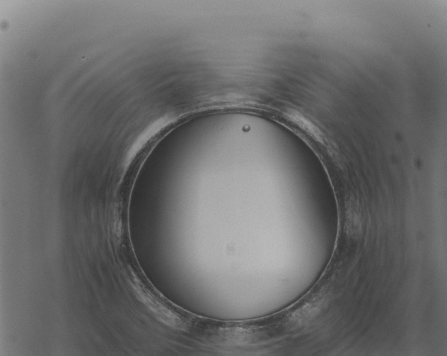 X0000068831458200605121329