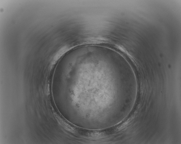 X0000068831459200605121329